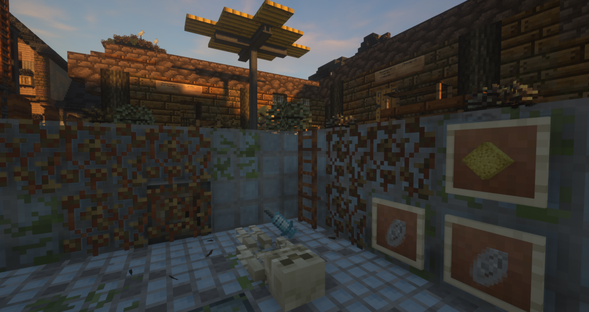 Избранное изображение